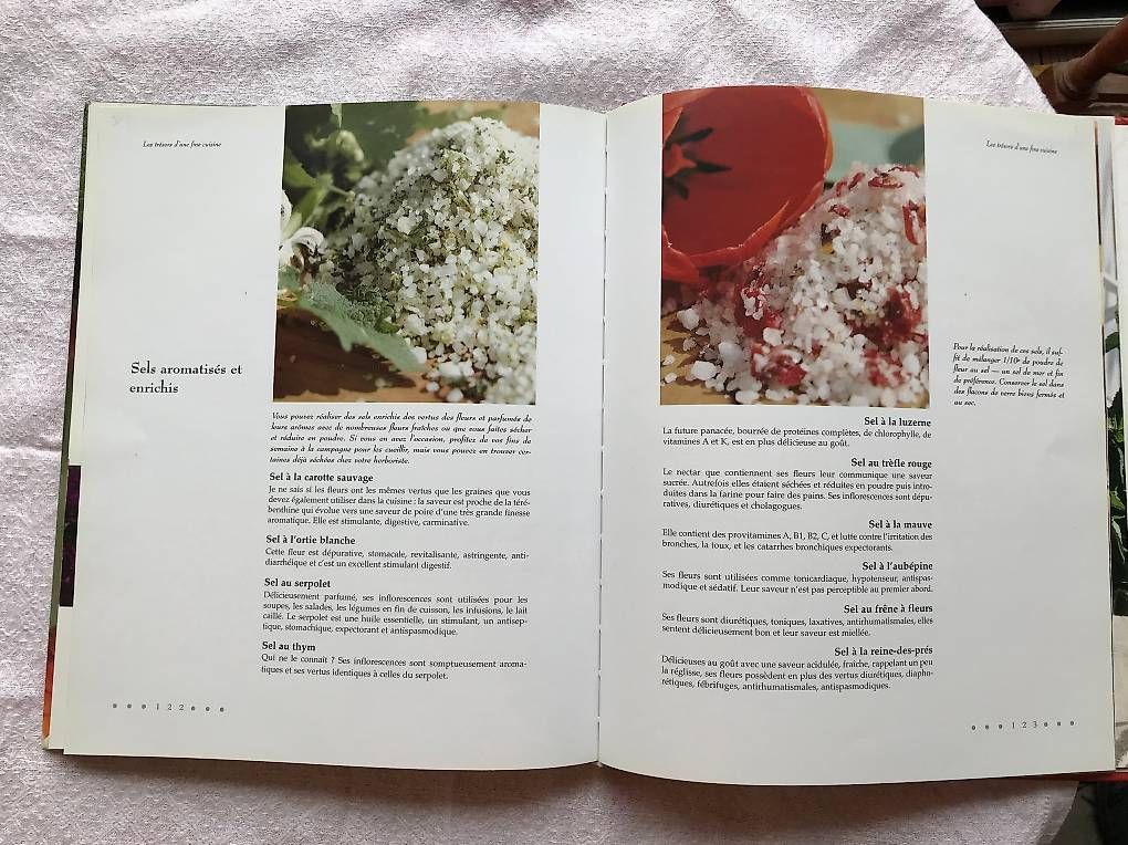 Libri: Délices de Fleurs - Alice Caron Lambert – Usato da Estavayer-le-Lac venduto da mar_2s6b 2