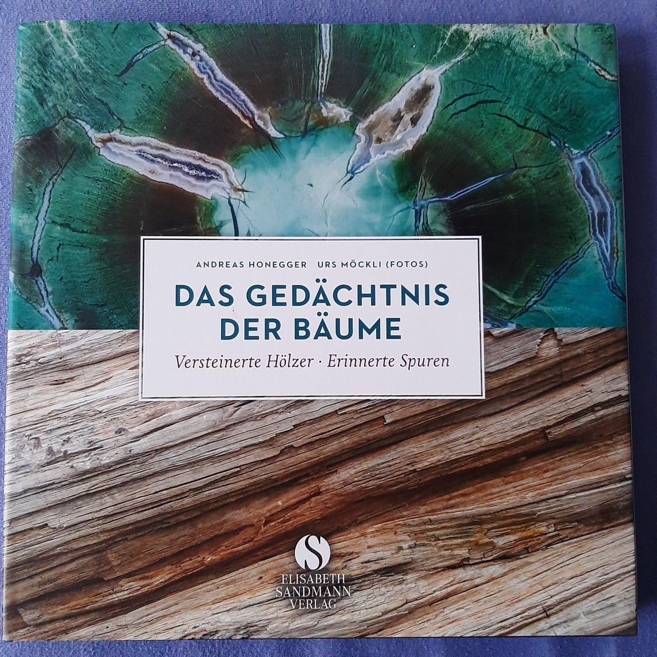 Libri: Das Gedächtnis der Bäume – Nuovo (secondo la descrizione) da Wünnewil venduto da Bear78