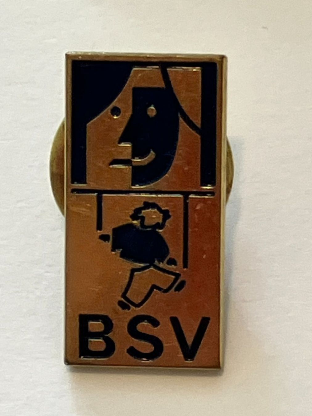Placchette & Badge: 1 Pin BSV – Usato da Basel venduto da djwwpp