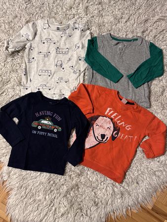 Lot de 4 T-shirts manches longues garçon taille 86/92