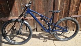 Specialized Stumpjumper EVO Custom S4 2024