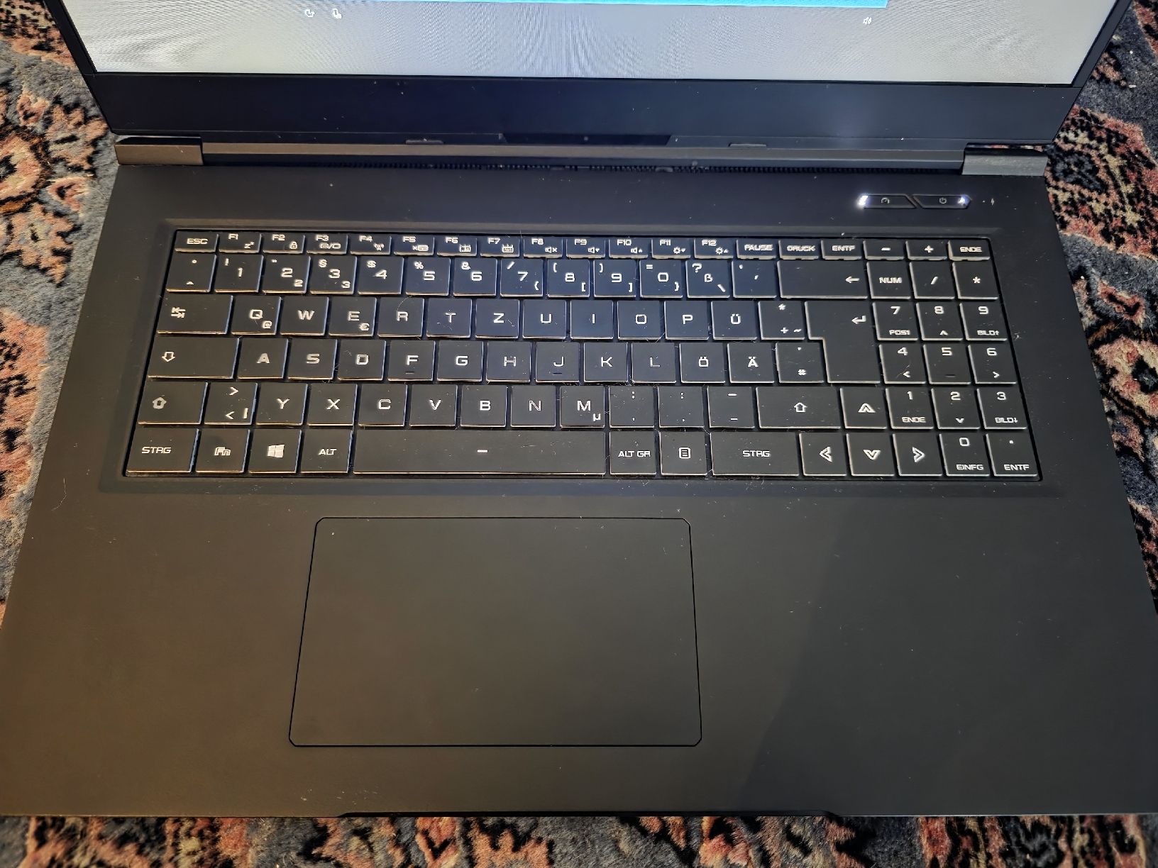 Notebook: Gaming Laptop - RTX 2080 - 32gb RAM – Usato da Tann venduto da Flowerfield 3