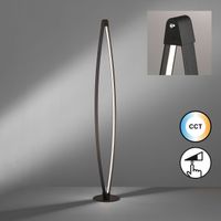 LED Stehleuchte, Schwarz, 145 cm Höhe