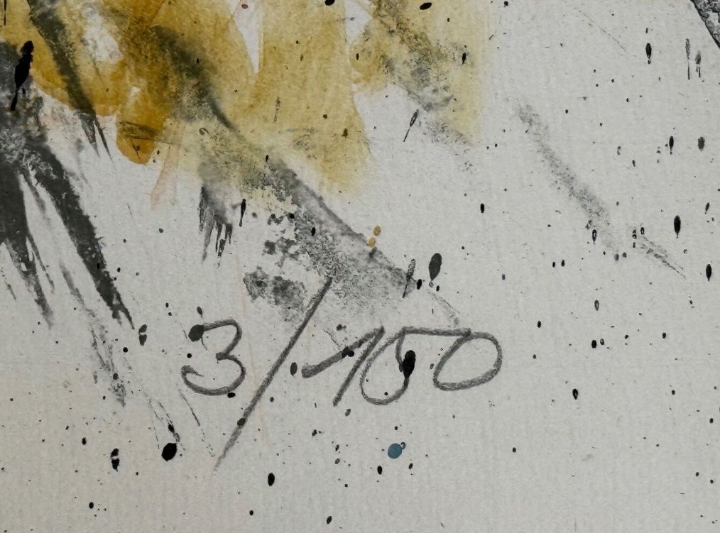Grafiken & Lithographien: Fritz Hug, handsigniert, nummeriert – Gebraucht aus Rain von Pic-Ass 2