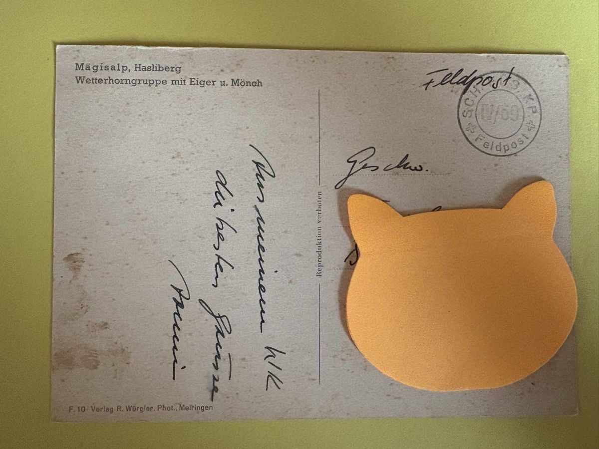 Cartoline postali: AK von Mägisalp / Bergpanorama – Usato da Rümlang venduto da Kartenpost1 1