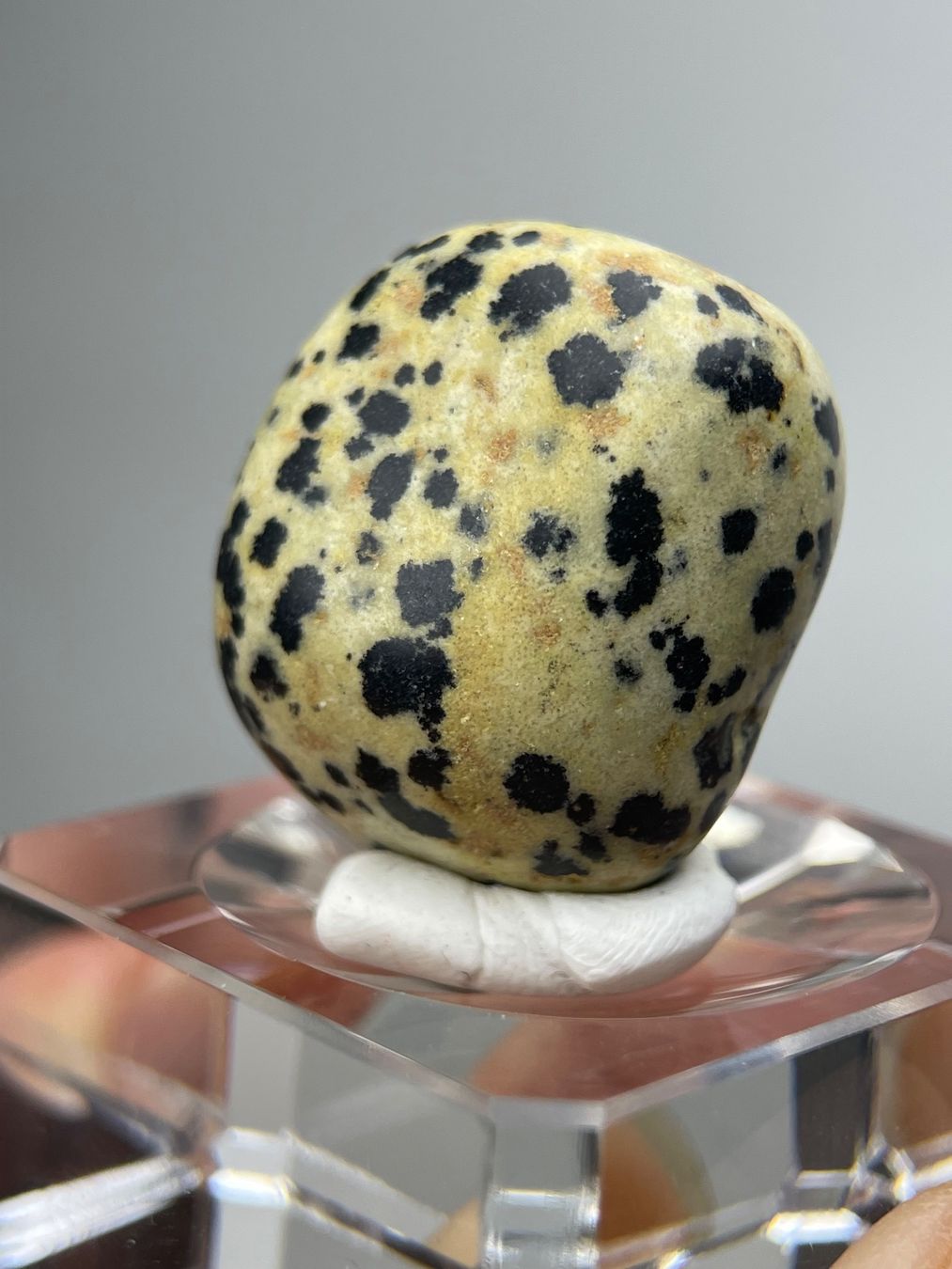 Minerali & Pietre curative: Dalmatian Jasper mit Bohrung, ca. 3 cm – Nuovo (secondo la descrizione) da Schiers venduto da sisikristall
