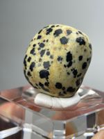 Dalmatian Jasper Anhänger mit Bohrung, ca. 3 cm