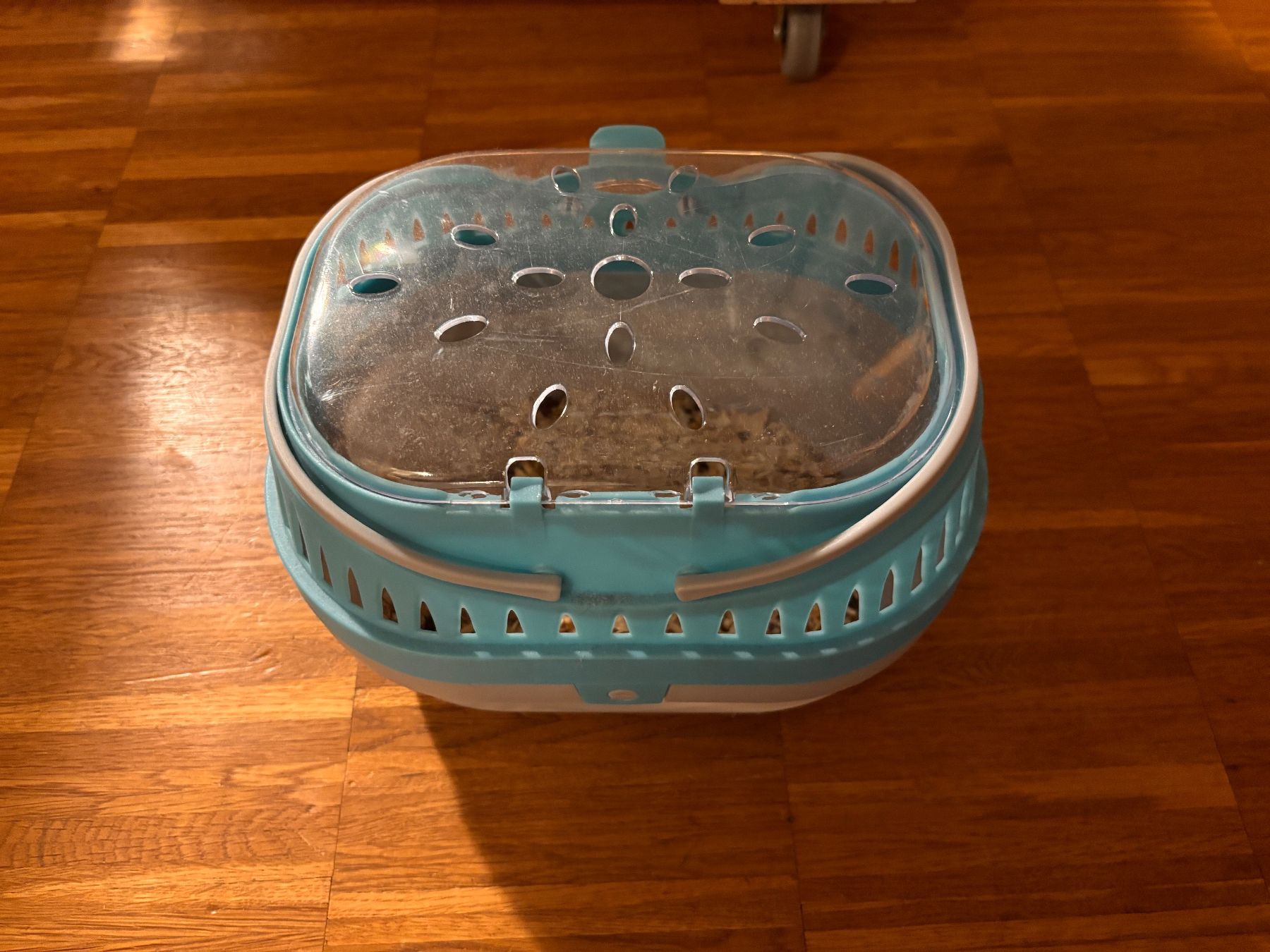 Terrarium: Terrarium für Hamster oder Mäuse – Gebraucht aus Luzern von 666666 3