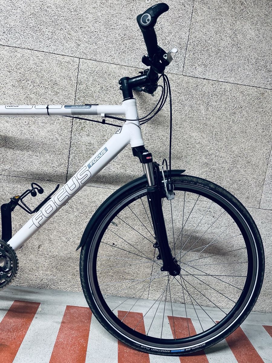 Focus Biciclette: Focus Velo XL – Usato da Zürich venduto da Bidon3011 4