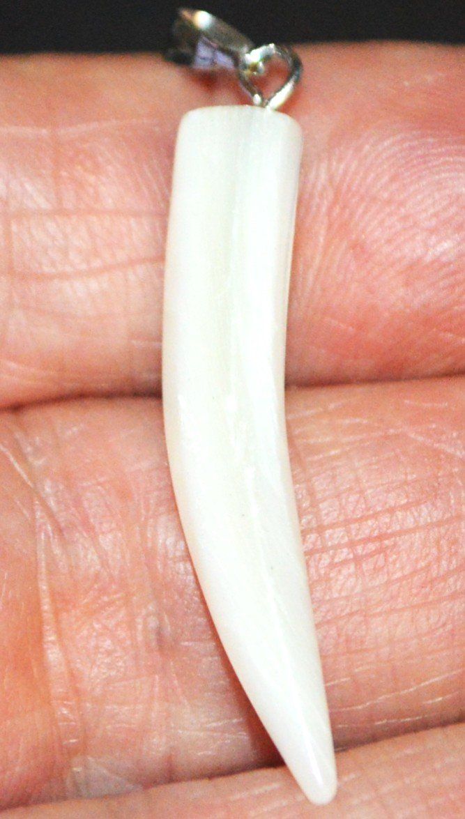 Ciondoli: Anhänger L-8310 – Perlmutter Zahn ca. 3cm – Nuovo e nell'imballaggio originale da Goldiwil (Thun) venduto da han_v5b7