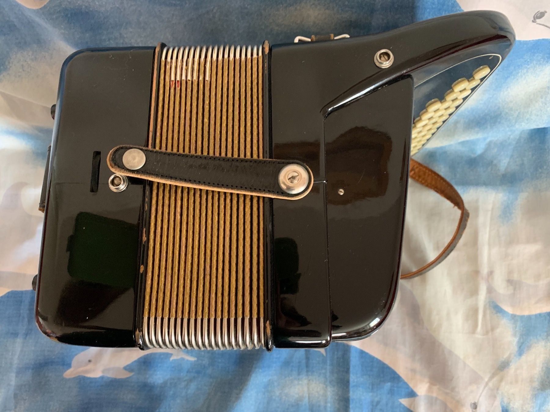 Hohner Strumenti musicali: Diatonisch Akkordeon – Usato da Zürich venduto da Olimpied 5