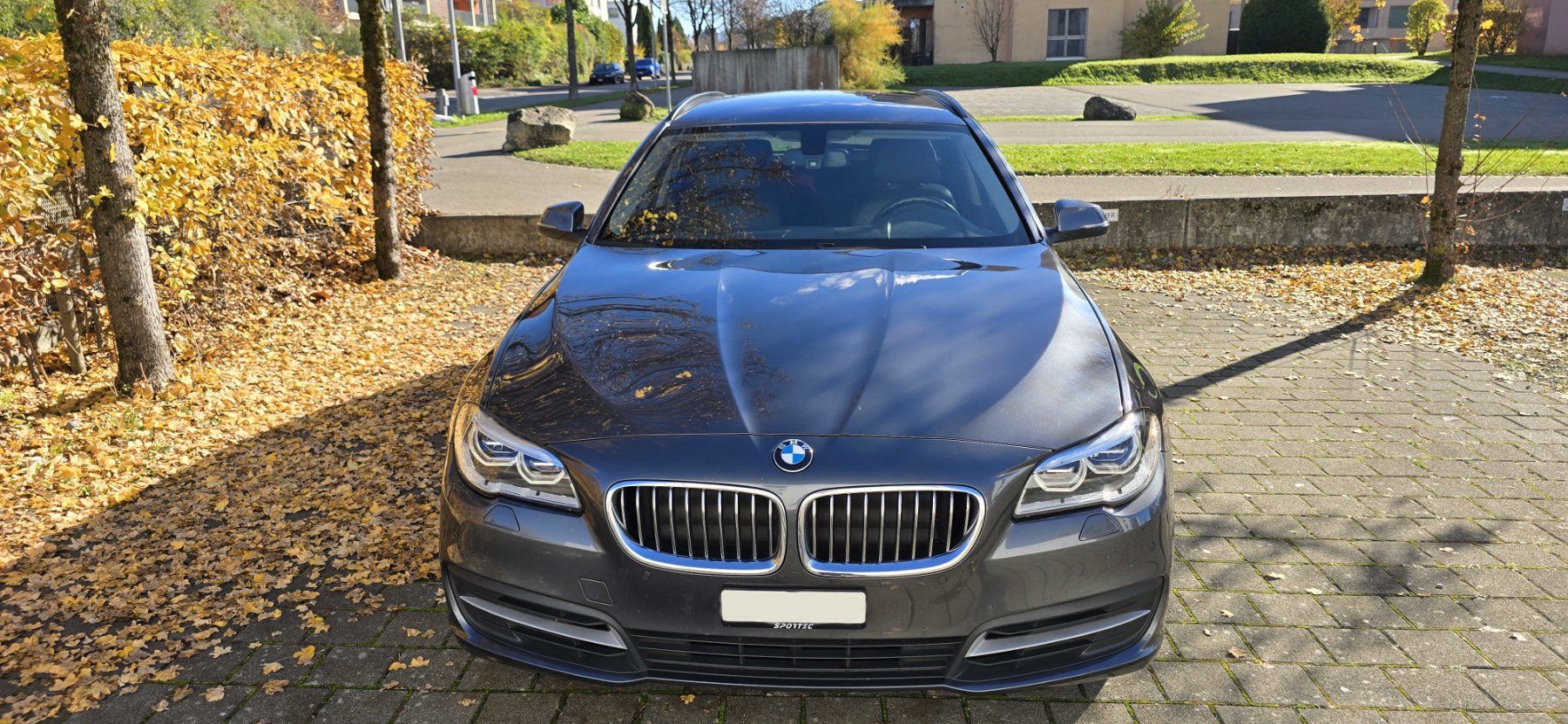 BMW Automobili: BMW 520D – Usato da Volketswil venduto da Hageno 1