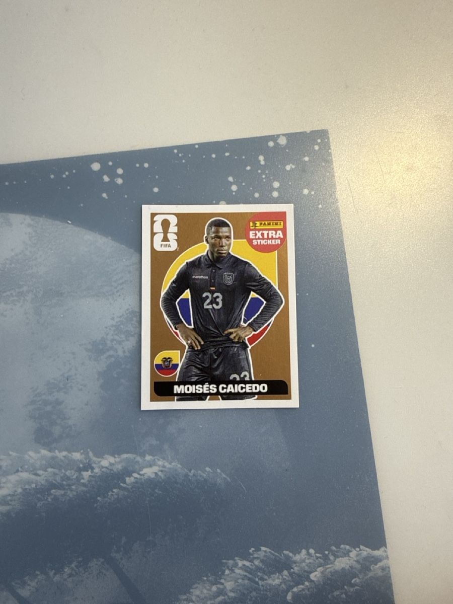 Panini Carte collezionabili: Panini Extra Sticker Moisés Caicedo neuwertig – Usato da Dittingen venduto da fab_h7tw