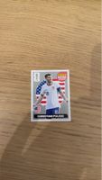 Panini Christian Pulisic EXTRA Sticker USA 2025