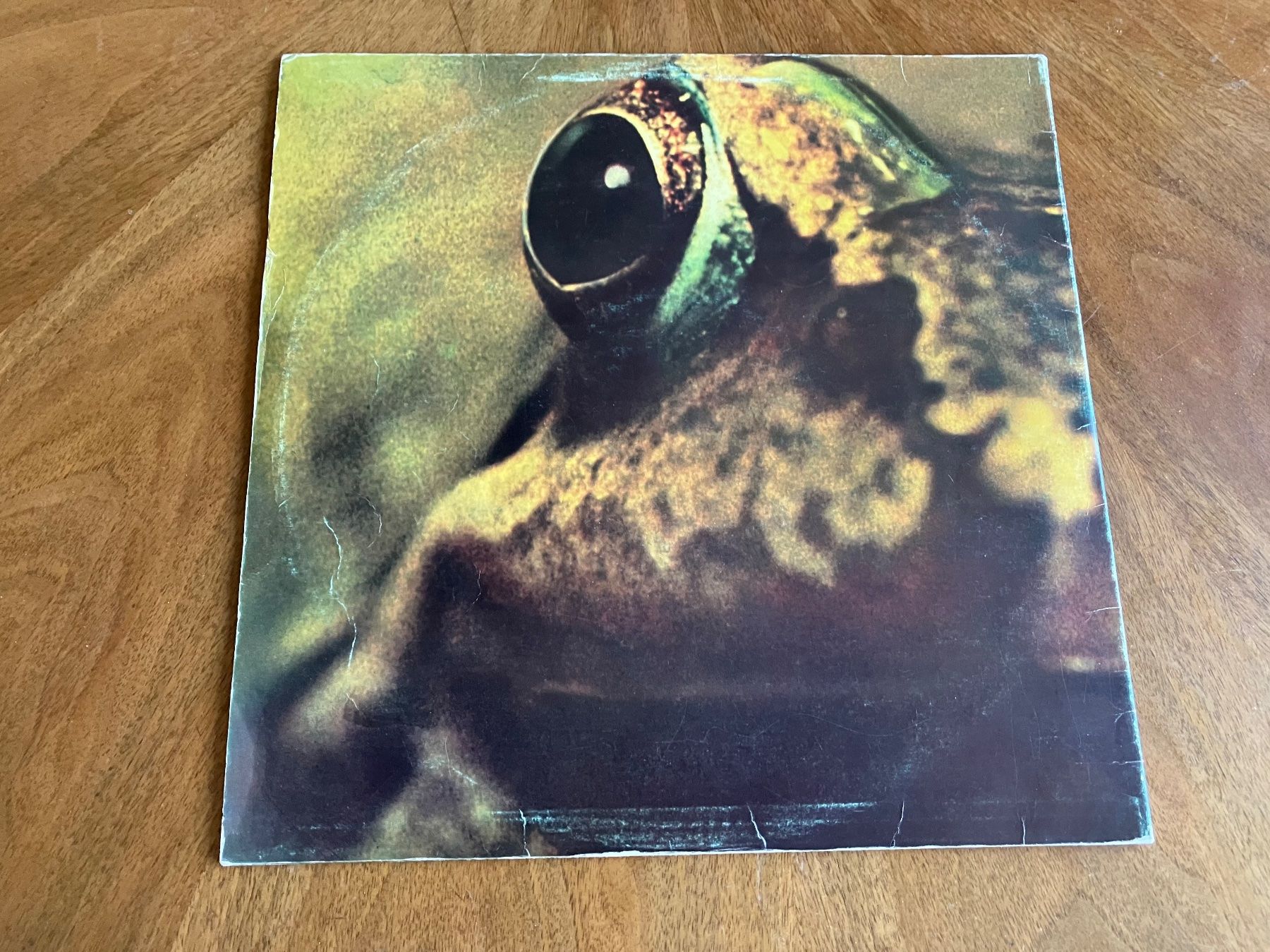 Vinyles: Toad Vinyl 1971 / 1972 – D'occasion à Bern par Schrineraendu 6