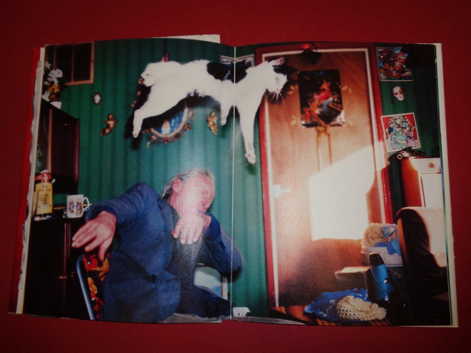 Livres: RICHARD Billingham Ray is`n Witz – D'occasion à Welschenrohr par Regool 4