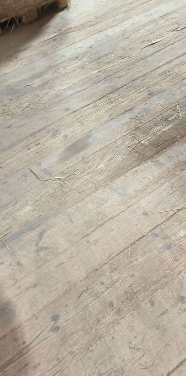Articoli in legno: Altholz,Bodenbretter u.s.w – Usato da Bulle venduto da mjm_mgl2