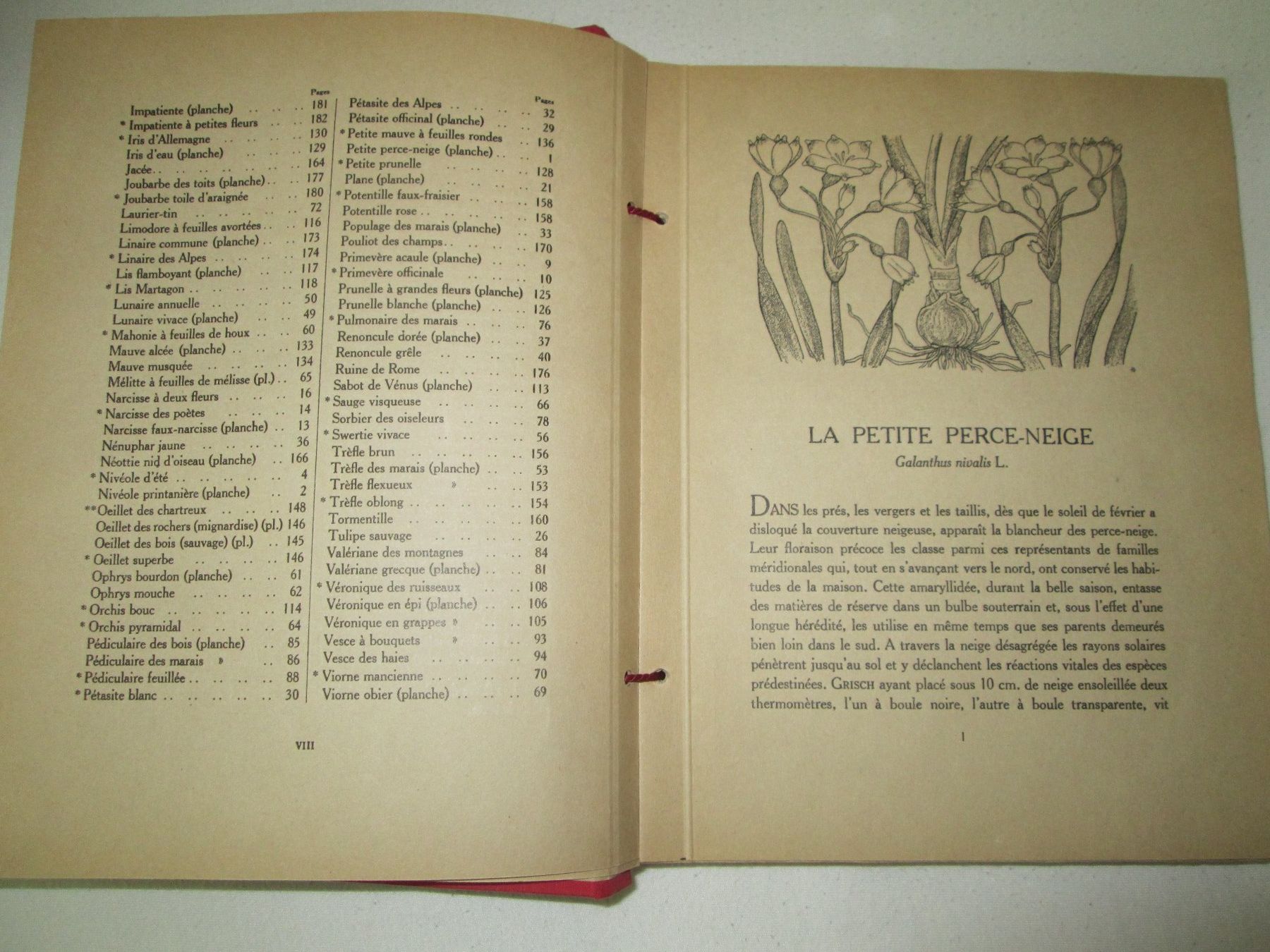 Livres: Nos Fleurs – D'occasion à Neuchâtel par Dualseele 4