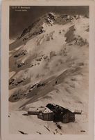 LE  GRAND  St. BERNARD