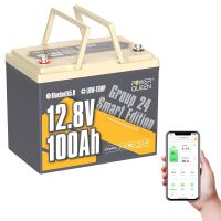 Power Queen 12V 100Ah Batterie