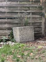 Pflanzentrog aus Waschbeton quadratisch