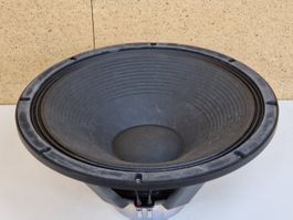 21" Basstreiber