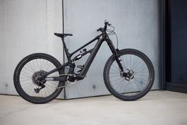 YT Decoy SN MX Custom