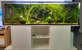 Aquarium 720L
