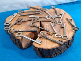 18 schöne antike Schlüssel (LOT3232#TBS1)