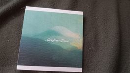 Merzbow Scene CD Noise