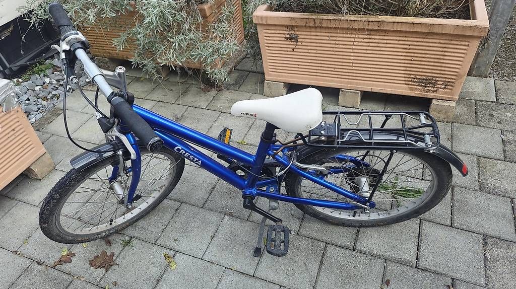 Biciclette: Kindervelo  Cresta – Usato da Hombrechtikon venduto da RominaLaBene
