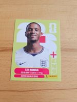 Panini WM 2026 ENG 5