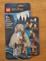 LEGO 40419 Harry Potter: Die Schüler von Hogwarts NEU/OVP