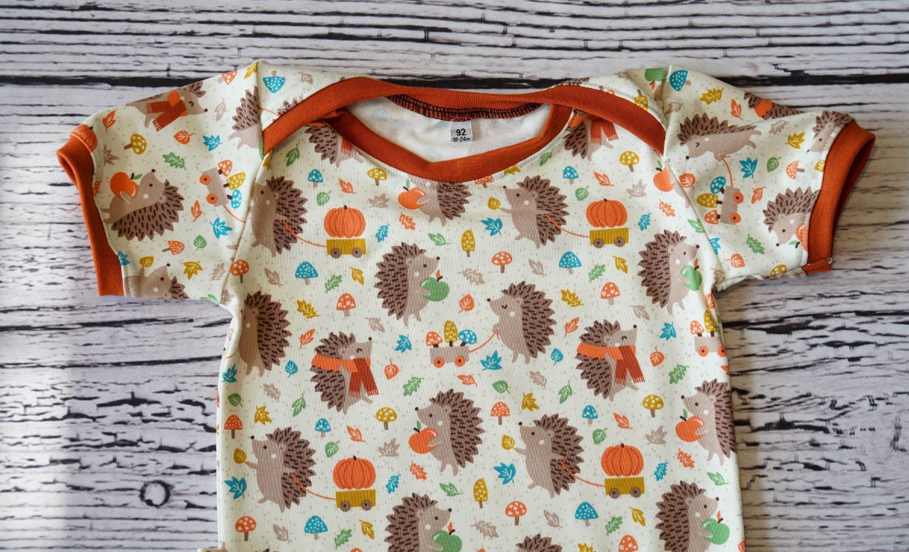 Biancheria intima: Kurzarm Bodys mit Igel/Pucky - Gr.86/92 NEU – Nuovo e nell'imballaggio originale da Zürich venduto da sambaum 3