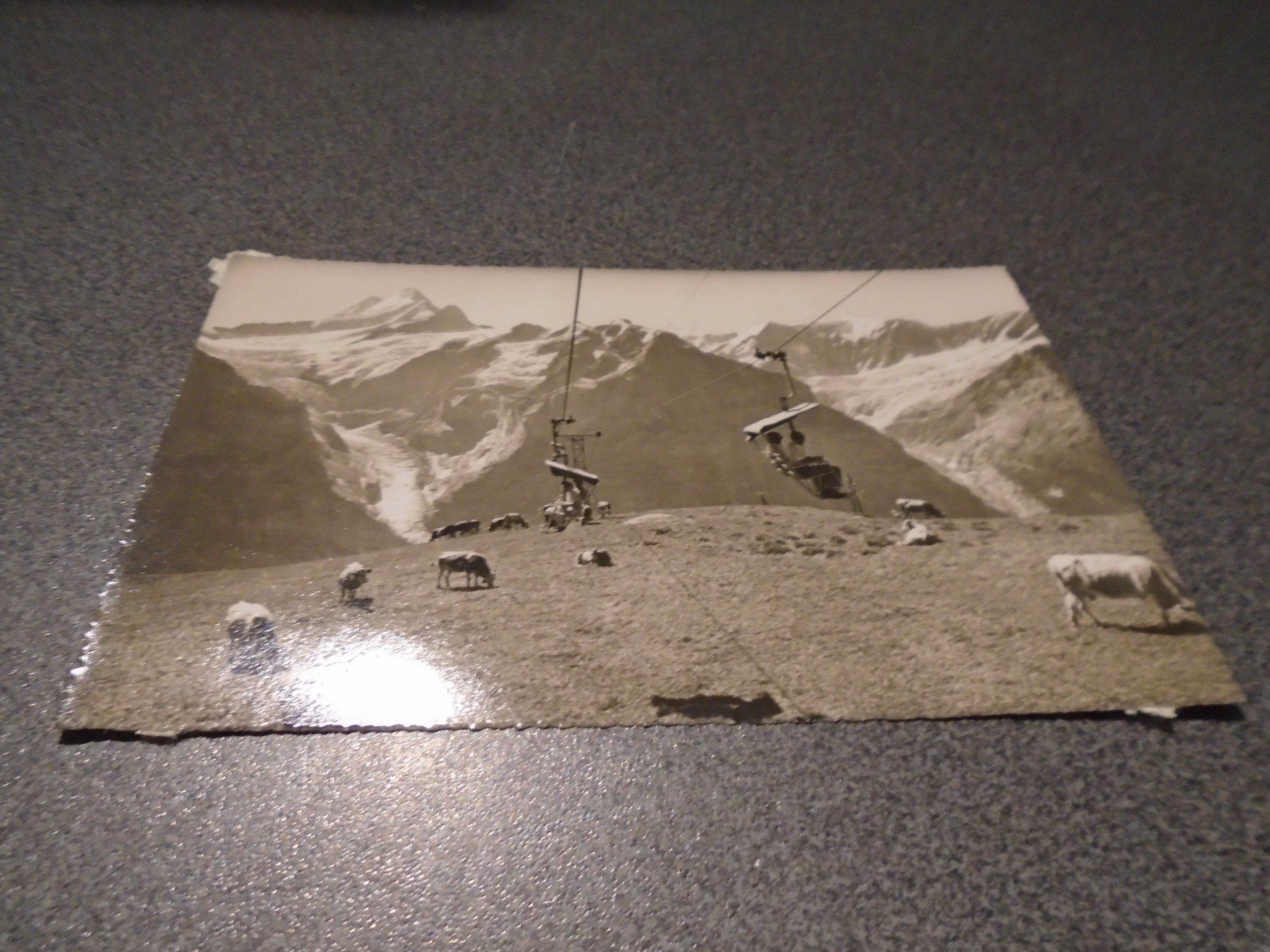 Cartes postales: Ansichtskarte Bergbahn Grindelwald-First – D'occasion à Zürich par abraxas1291