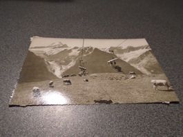 Ansichtskarte Bergbahn Grindelwald-First