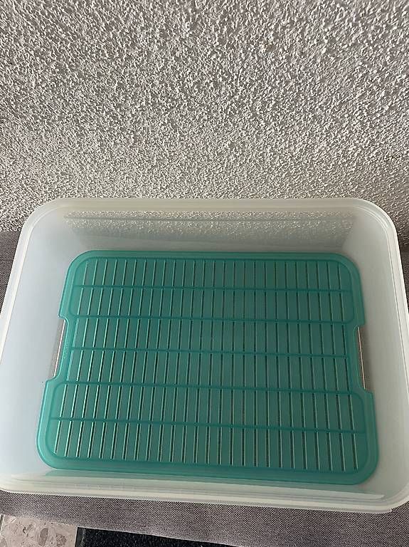 Behälter & Ähnliches: Tupperware Mega-Frischebehälter 9,4 Liter - NEU – Neu und originalverpackt aus Künten von Gubapri 1