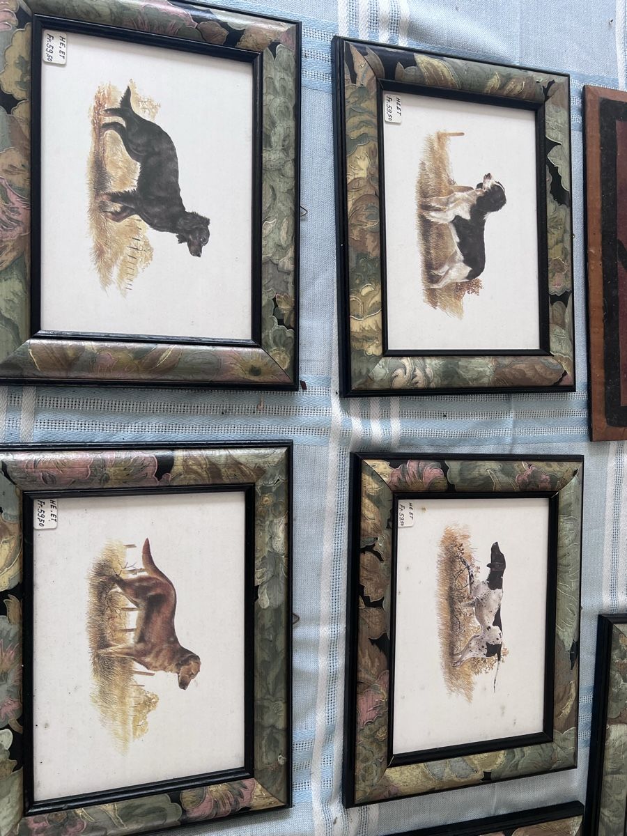 Foto & Immagini: Hunde Bilder Set (80) – Usato da Glattfelden venduto da brockischweiz 3