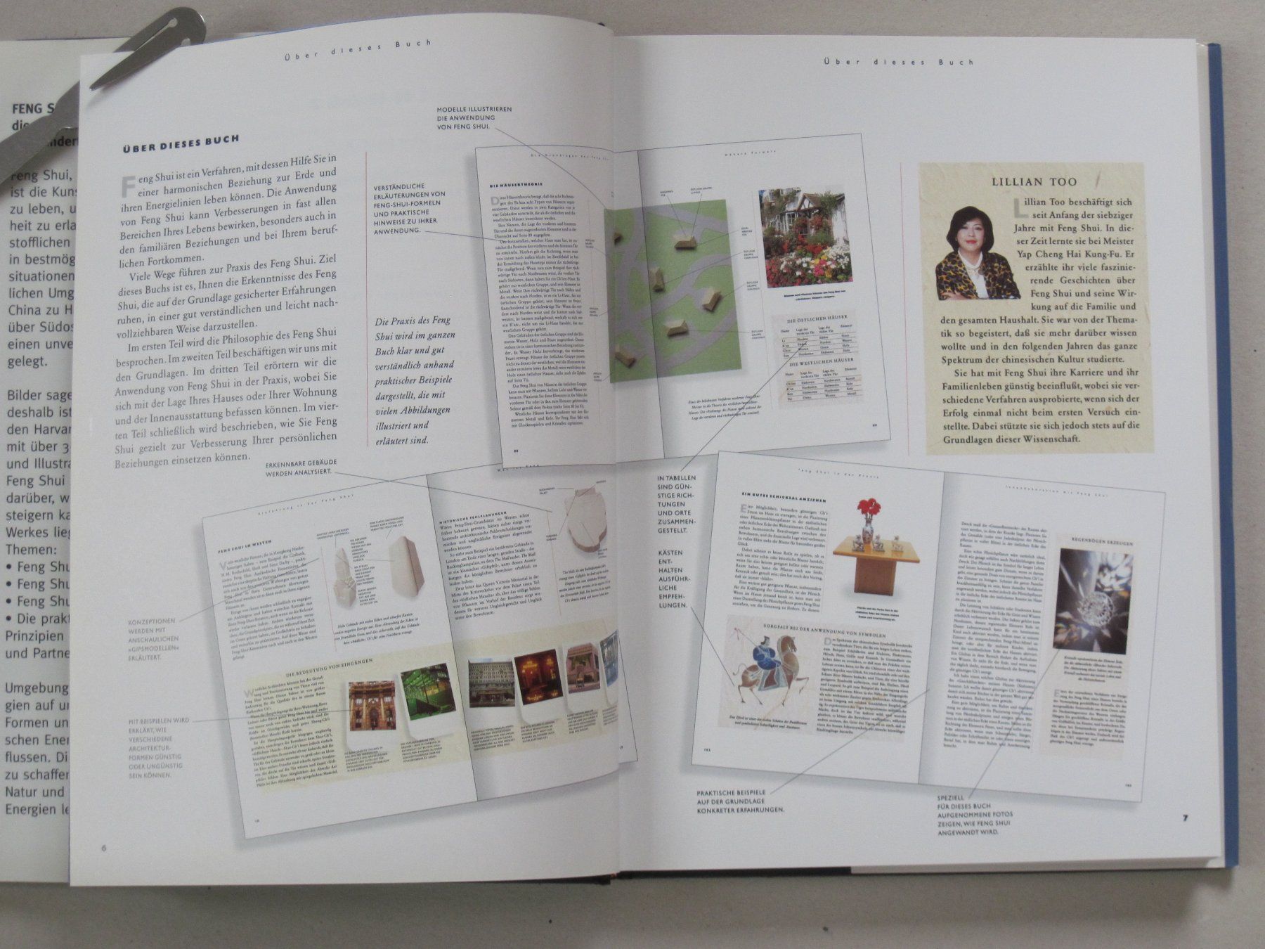 Libri: Feng Shui – Usato da Feuerthalen venduto da mam_5l7b 3