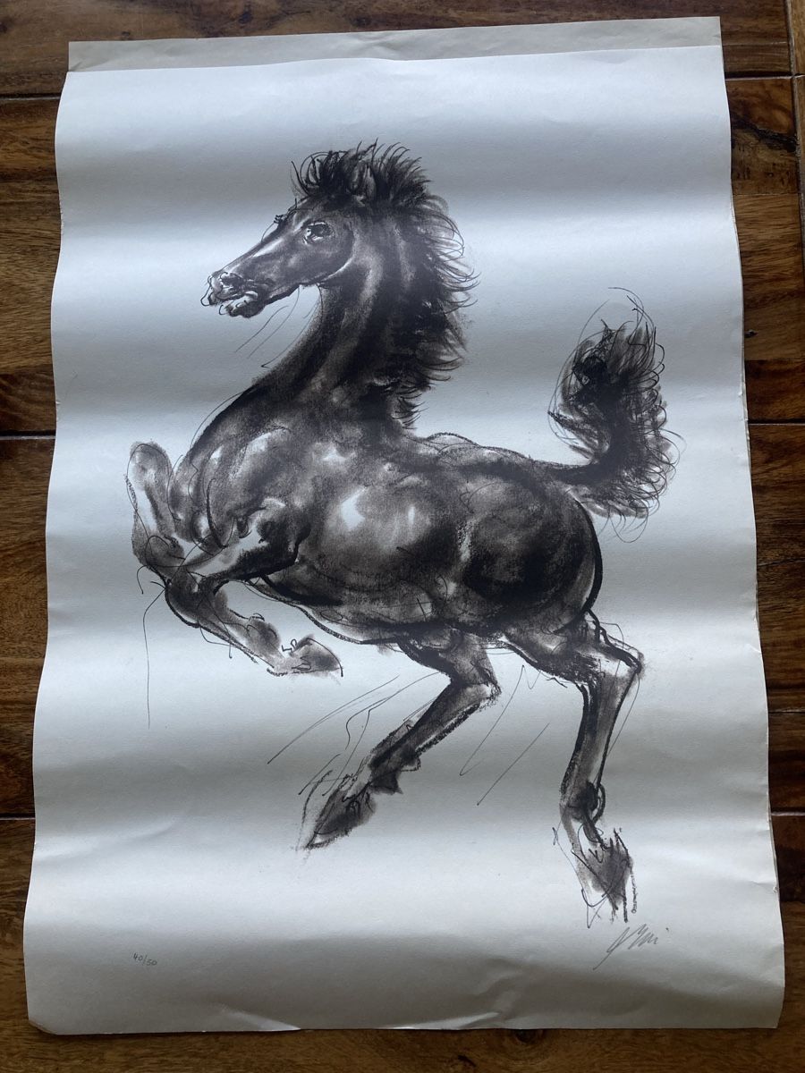Grafica & Litografie: Hans Erni Lithographie – Nuovo (secondo la descrizione) da Bettlach venduto da Valgoy
