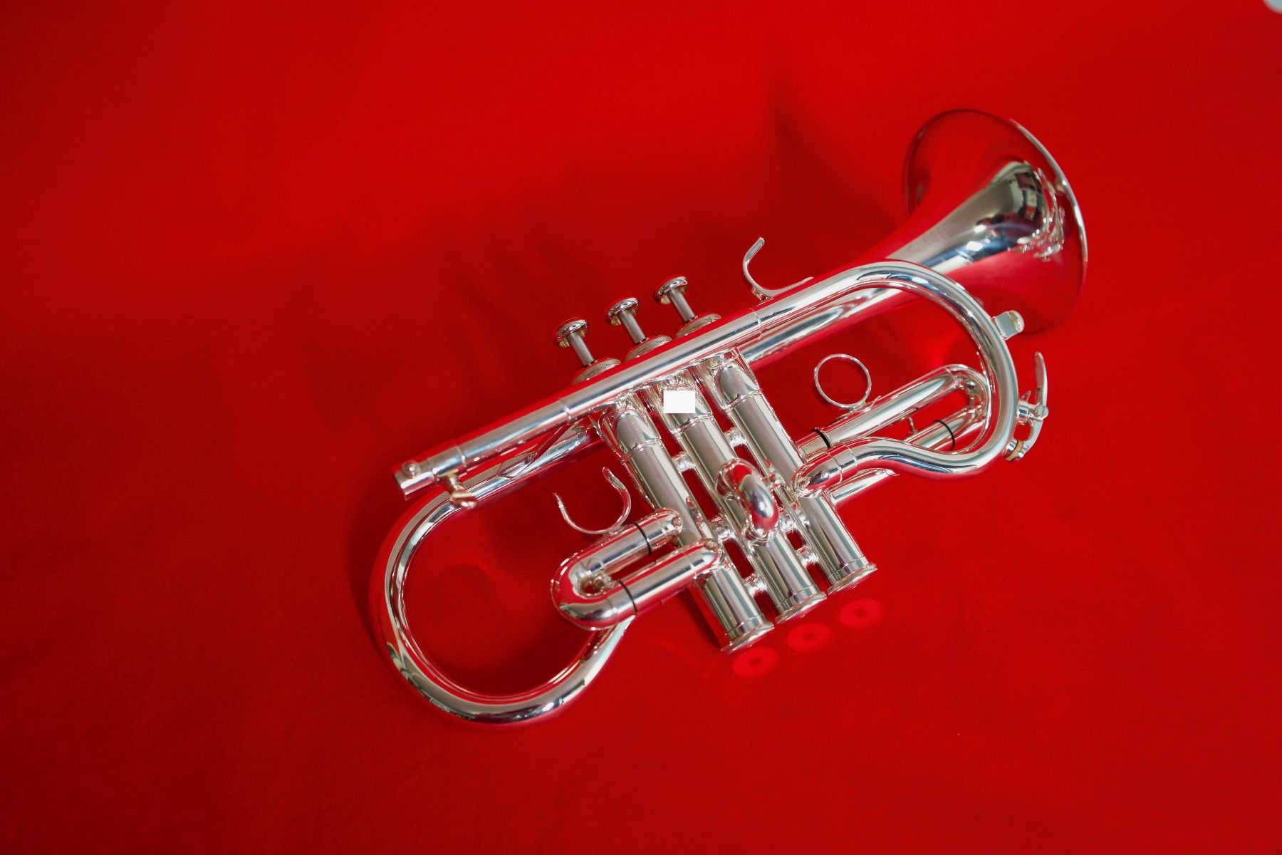 Yamaha Strumenti musicali: Es-Cornet Yamaha-8620S "Neo" – Usato da Buchs AG venduto da Inderbinen 2