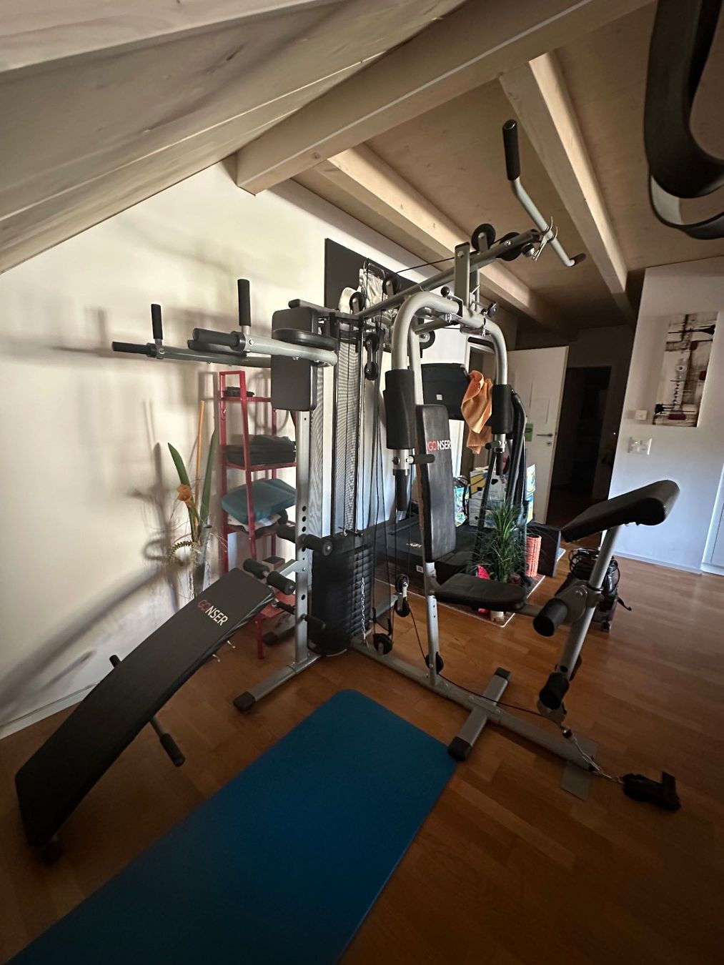 Gonser Hometrainer: XXL Kraftstation Dragon – Usato da Rikon im Tösstal venduto da sani.144 2