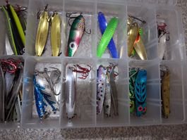 Fischköder Set für den Sommer, viele verschiedene Modelle