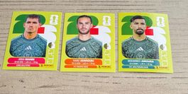 Panini FIFA World Cup WM 2026 - ALGERIEN - ALG 7 - 11 - 20