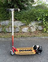Scooter mit Benzinmotor Go-Ped Sport (Goped)