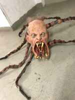 1:1 Spinnen Kreatur ‚The Thing‘ lifesize not Sideshow