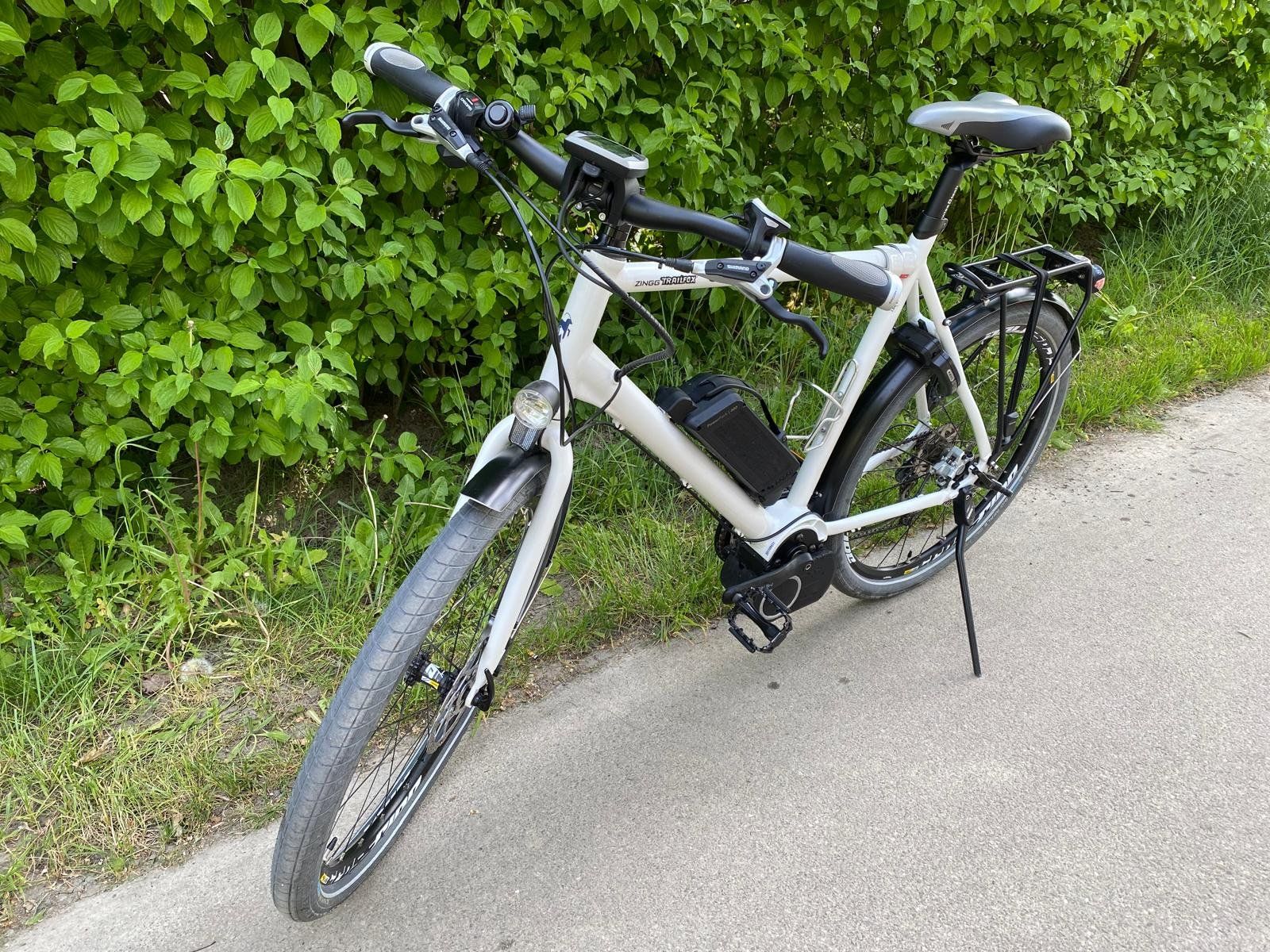 Cresta Biciclette: Cresta E-Drive E-Bike mit Hundeanhänger | Rahmengrösse 58 – Usato da Brugg AG venduto da pippi0815 2