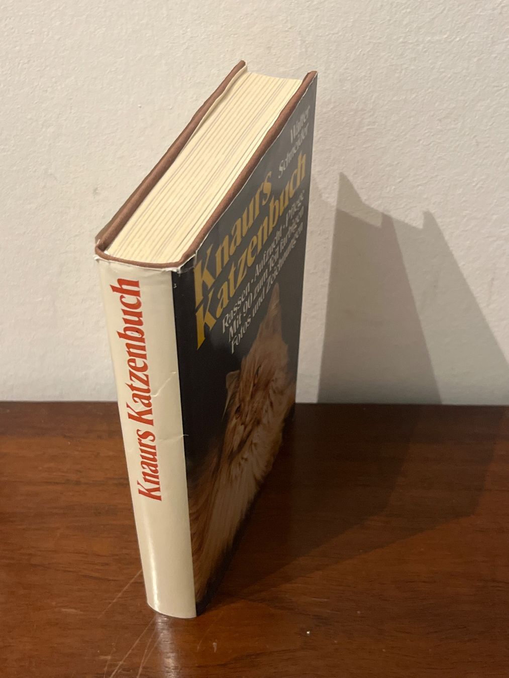 Libri: Buch - Knaurs Katzenbuch, Walter Schneider – Usato da Luzern venduto da Jiggy_8898 2