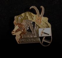 Brosche Steinbock Gämse SektionPizGrisch
