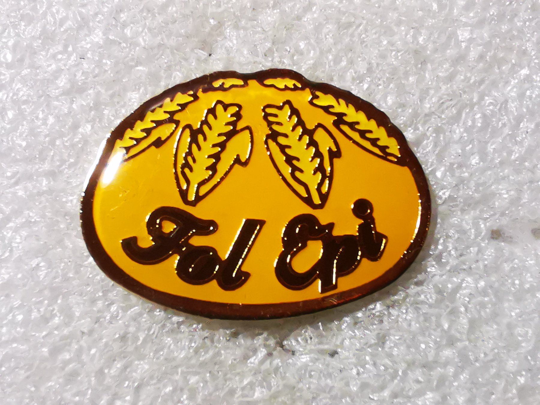 Plaketten & Abzeichen: Ansteckpin 113: – Gebraucht aus Oppligen von Pin-Fall-Shop